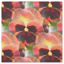 Hütten-Garten-LeuchtkäferPansy - 4 Zoll