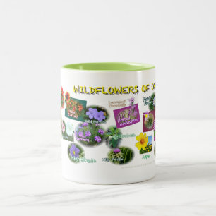 hv19 Oklahoma Wildblumen-Tasse Zweifarbige Tasse
