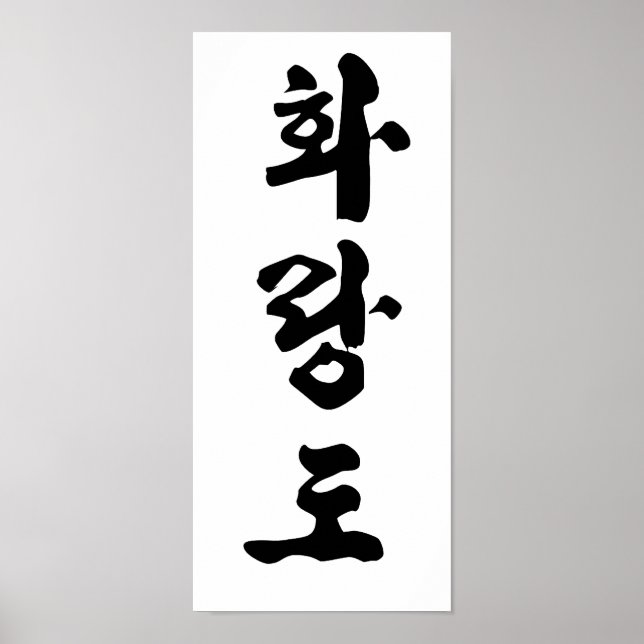 Hwa Rang Do Print Poster (Vorne)