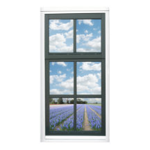 Hyacinth Blume Spring Imitate Window View Poster