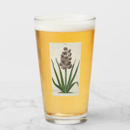 Hyacinth Blume (von Johann Michael Seligmann) Glas