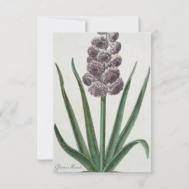 Hyacinth Blume (von Johann Michael Seligmann) Karte