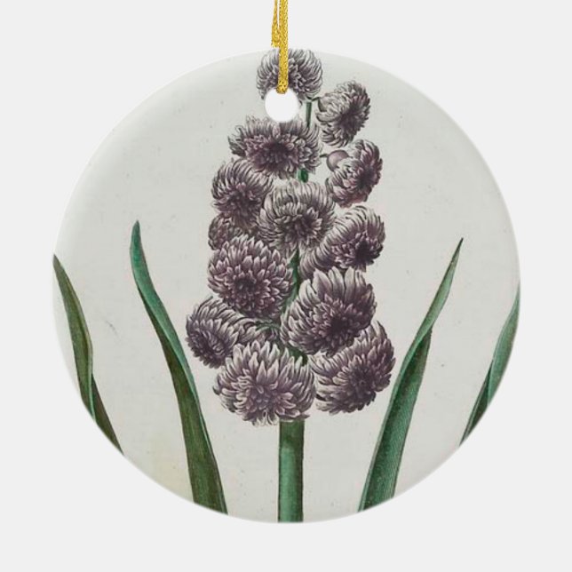 Hyacinth Blume (von Johann Michael Seligmann) Keramik Ornament (Hinten)