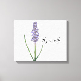 Hyacinth Blume Wasserfarbe Canvas Print Leinwanddruck
