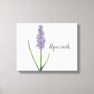 Hyacinth Blume Wasserfarbe Canvas Print Leinwanddruck