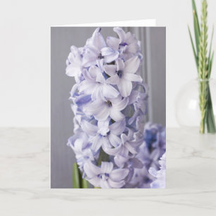 Hyacinth Card Feiertagskarte