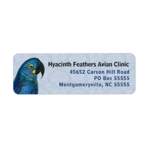 Hyacinth Macaw Avian Business Blue Rücksendeadress