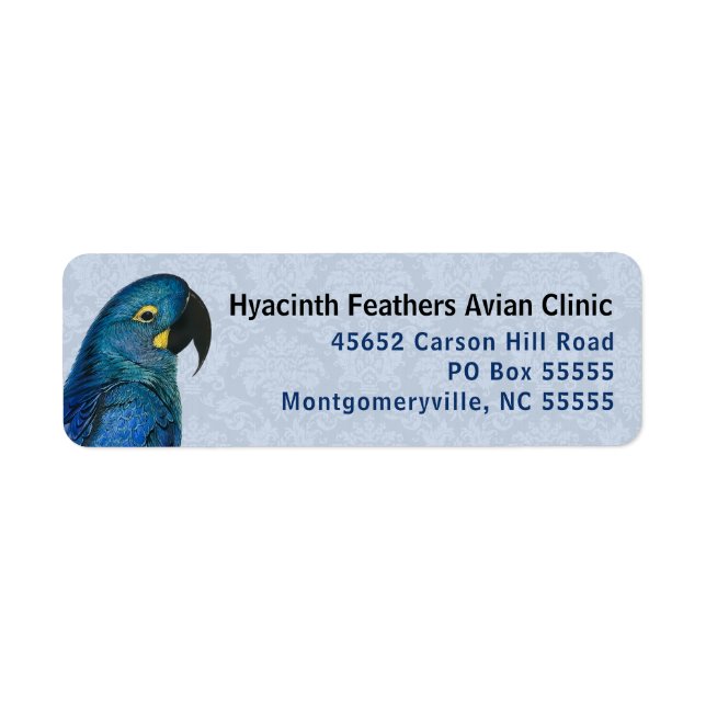 Hyacinth Macaw Avian Business Blue Rücksendeadress (Vorne)