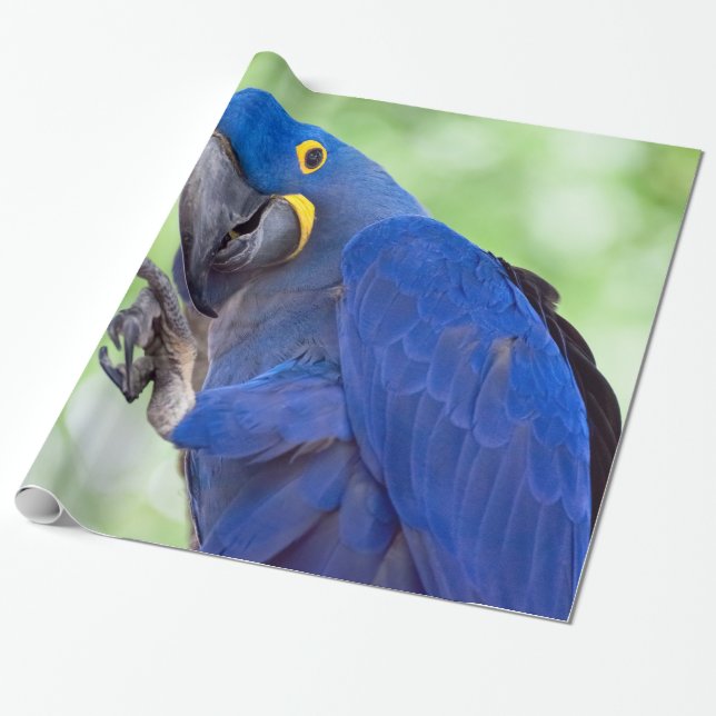 Hyacinth Macaw Bird Geschenkpapier (Ungerollt)