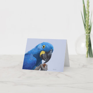 Hyacinth Macaw Ermutigung JW Dankeskarte