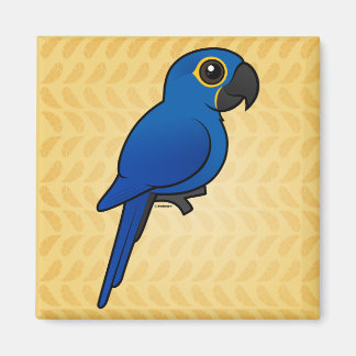 Hyacinth Macaw Magnet