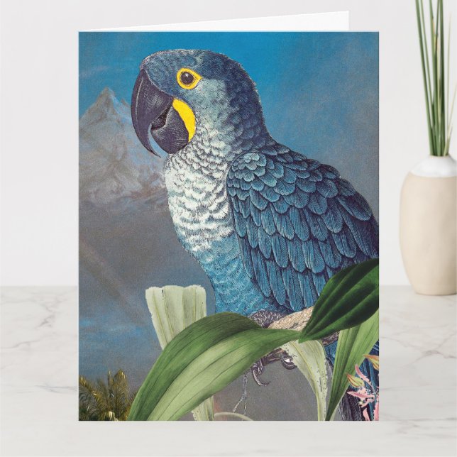 Hyacinth Macaw Parrot Bird Happy Birthday Big Card Karte (Vorderseite)
