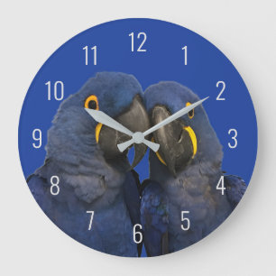 Hyacinth Macaw Parrot Bird Rare Blue Große Wanduhr