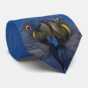 Hyacinth Macaw Parrot Bird Rare Blue Krawatte