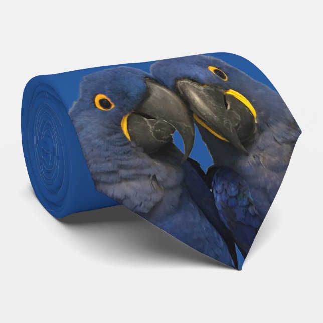 Hyacinth Macaw Parrot Bird Rare Blue Krawatte (Gerollt)