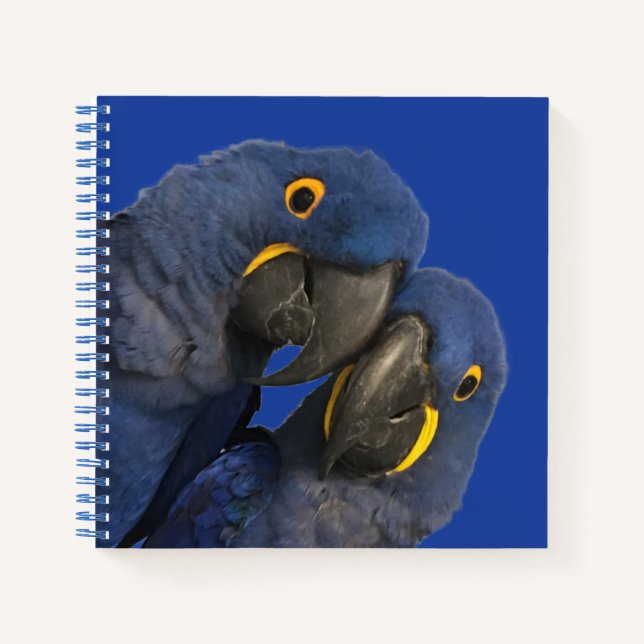 Hyacinth Macaw Parrot Bird Rare Blue Notizbuch (Vorderseite)