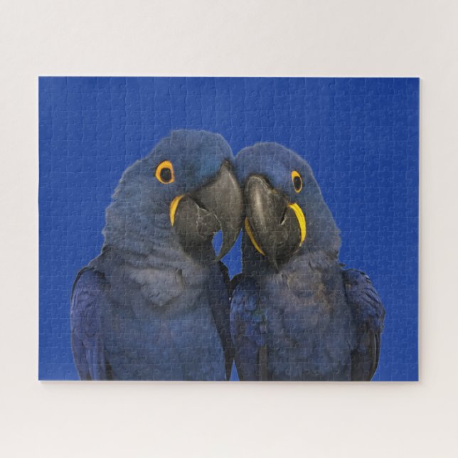 Hyacinth Macaw Parrot Bird Rare Blue Puzzle (Horizontal)
