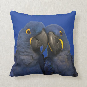Hyacinth Macaw Parrot Bird Selten Kissen