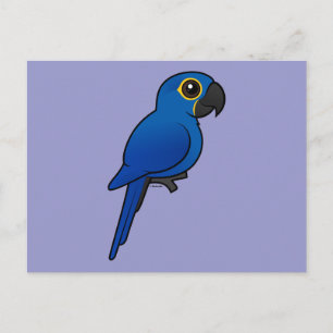 Hyacinth Macaw Postkarte