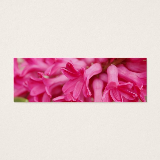 Hyacinth Pink Lesezeichen (Vorderseite)