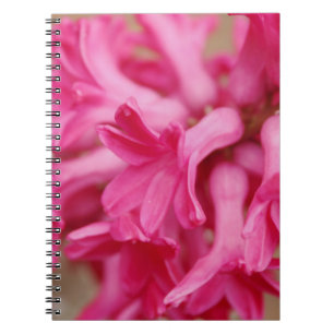 Hyacinth Pink Notizblock