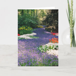Hyacinth River Card Karte