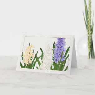 Hyacinth von Tanigami Konan Karte