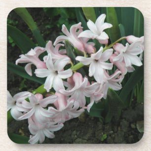 Hyacinths Cork Untersetzer