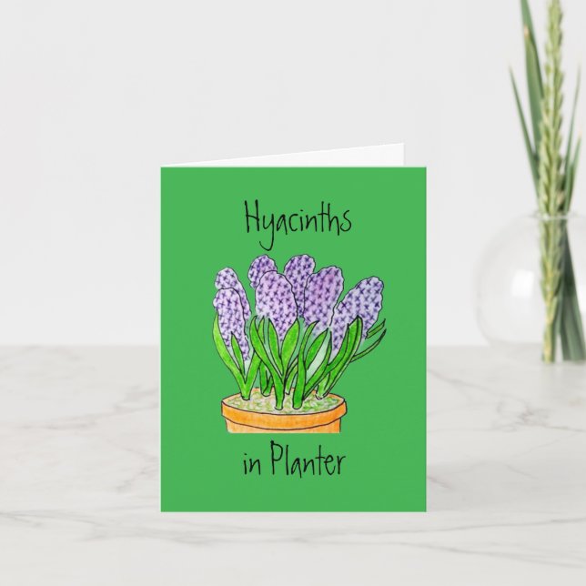 Hyacinths in Planter Blank Greeting Card Dankeskarte (Vorderseite)