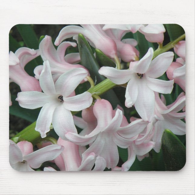 Hyacinths Mousepad (Vorne)