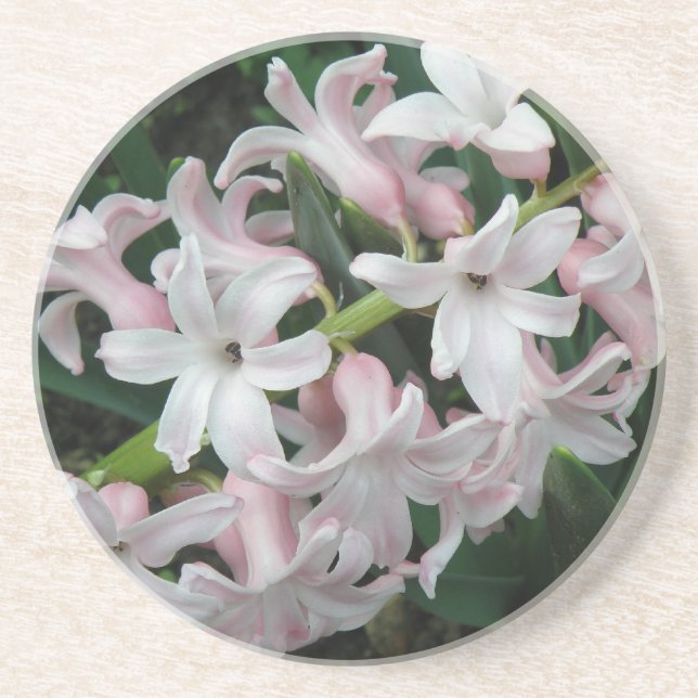 Hyacinths Untersetzer (Vorne)