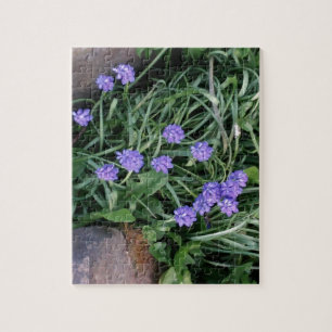 Hyakinth, blaue lila Blume, blumenreich Puzzle