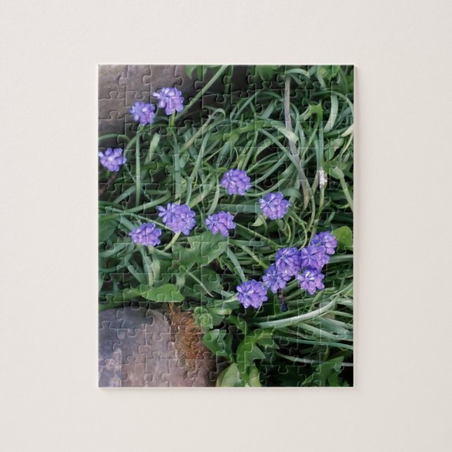 Hyakinth, blaue lila Blume, blumenreich Puzzle (Vertikal)