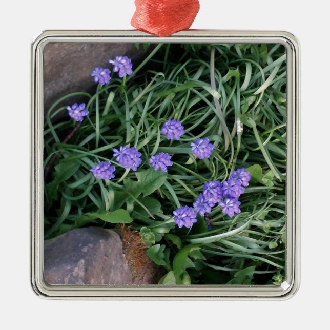 Hyakinth, blaue lila Blume, blumenreich Silbernes Ornament (Vorne)