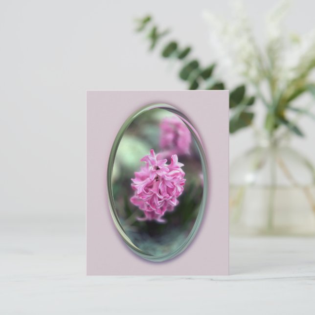 Hyakinth im Frühjahr (Stehend Vorderseite)