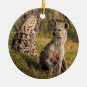 Hyänen Keramikornament