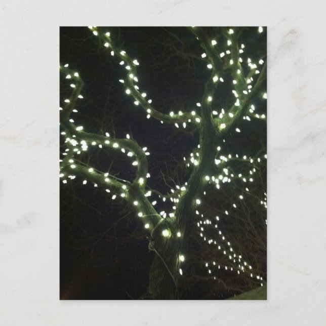 Hyannis Lichter Postkarte (Vorderseite)