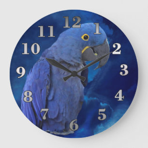 HyazintheMacaw Große Wanduhr