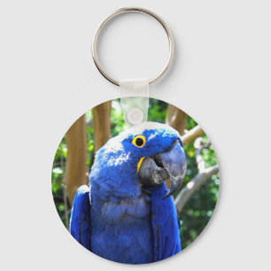 HyazintheMacaw Schlüsselanhänger