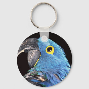 HyazintheMacaw Schlüsselanhänger