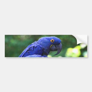 HyazintheMacaws Autoaufkleber