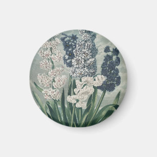 Hyazinthen (1807) - Exquisite Vintage botanische Magnet