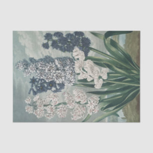 Hyazinthen (1807) - Exquisite Vintage botanische Seidenpapier