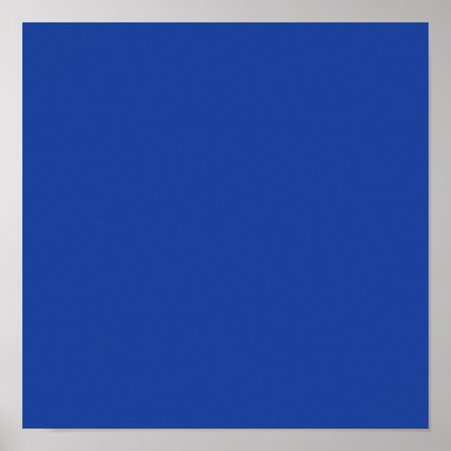 Hyazinthenara Blau Poster (Vorne)