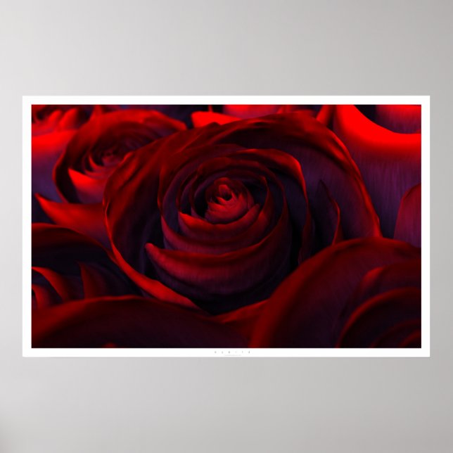 Hybrid (breit) poster (Vorne)