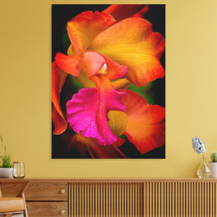 Hybrid Cattleya Orchid Canvas Print Leinwanddruck