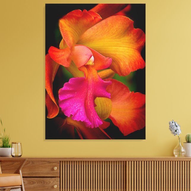 Hybrid Cattleya Orchid Canvas Print Leinwanddruck (Insitu (Wohnzimmer))