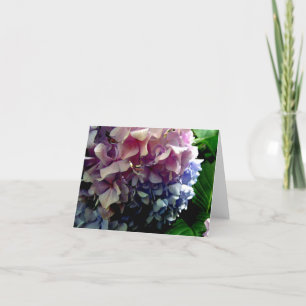 Hybrid Hydrangea Notecard Karte