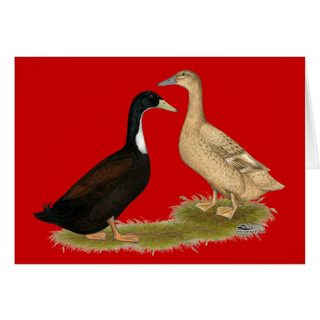 Hybrid Lay Duck (Vorderseite (Horizontal))