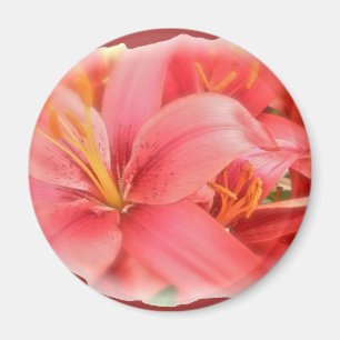 Hybrid-Lilien-Koordinationselemente Magnet